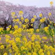 ヒメ日記 2026/04/07 16:31 投稿 早乙女うみ アラフォーna奥様 アラフィフna奥様（埼玉ハレ系）