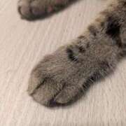 ヒメ日記 2026/04/14 20:31 投稿 早乙女うみ アラフォーna奥様 アラフィフna奥様（埼玉ハレ系）