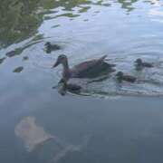 ヒメ日記 2026/05/14 14:03 投稿 早乙女うみ アラフォーna奥様 アラフィフna奥様（埼玉ハレ系）