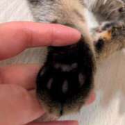 ヒメ日記 2026/05/15 21:37 投稿 早乙女うみ アラフォーna奥様 アラフィフna奥様（埼玉ハレ系）