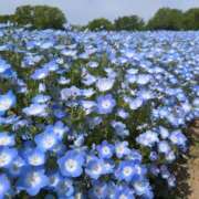 ヒメ日記 2026/07/06 15:45 投稿 早乙女うみ アラフォーna奥様 アラフィフna奥様（埼玉ハレ系）