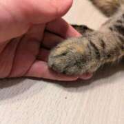 ヒメ日記 2026/08/04 12:05 投稿 早乙女うみ アラフォーna奥様 アラフィフna奥様（埼玉ハレ系）