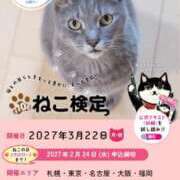 ヒメ日記 2026/09/17 21:07 投稿 早乙女うみ アラフォーna奥様 アラフィフna奥様（埼玉ハレ系）