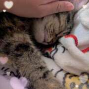 ヒメ日記 2026/09/29 21:40 投稿 早乙女うみ アラフォーna奥様 アラフィフna奥様（埼玉ハレ系）