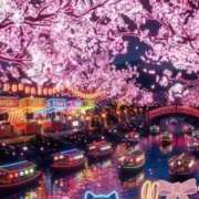 ヒメ日記 2026/03/20 22:52 投稿 みう【圧倒的キス魔】 ポニーテール和歌山店