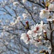 ヒメ日記 2026/03/30 07:19 投稿 YURI『ユリ』 GG