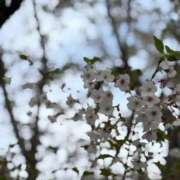 ヒメ日記 2026/04/06 23:49 投稿 YURI『ユリ』 GG