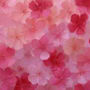 ヒメ日記 2026/03/04 20:17 投稿 まな 横浜回春性感マッサージ倶楽部