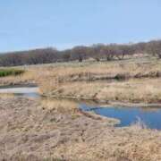 ヒメ日記 2026/03/15 11:28 投稿 愛内優乃 熟女パラダイス池袋店(カサブランカグループ)