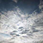 ヒメ日記 2026/03/17 08:08 投稿 愛内優乃 熟女パラダイス池袋店(カサブランカグループ)