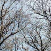 ヒメ日記 2026/03/29 15:12 投稿 愛内優乃 熟女パラダイス池袋店(カサブランカグループ)