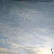 ヒメ日記 2026/04/13 05:46 投稿 愛内優乃 熟女パラダイス池袋店(カサブランカグループ)