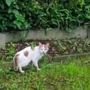 ヒメ日記 2026/07/07 07:05 投稿 愛内優乃 TOKYO五十路マダムin池袋（カサブランカグループ）