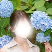 ヒメ日記 2026/06/25 09:48 投稿 月乃しずく 四季～SIKI～