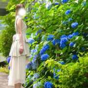 ヒメ日記 2026/07/03 09:48 投稿 月乃しずく 四季～SIKI～