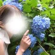 ヒメ日記 2026/07/03 17:48 投稿 月乃しずく 四季～SIKI～