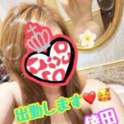 ヒメ日記 2026/04/24 12:05 投稿 倖田（こうだ） 熟女の風俗最終章 大宮店