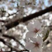 ヒメ日記 2026/03/25 07:39 投稿 もか 白いぽっちゃりさん五反田店