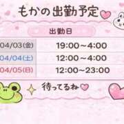 ヒメ日記 2026/04/02 07:49 投稿 もか 白いぽっちゃりさん五反田店