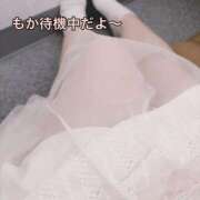 ヒメ日記 2026/04/03 19:45 投稿 もか 白いぽっちゃりさん五反田店