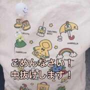 ヒメ日記 2026/04/04 17:49 投稿 もか 白いぽっちゃりさん五反田店