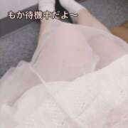 ヒメ日記 2026/04/09 17:15 投稿 もか 白いぽっちゃりさん五反田店