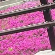 ヒメ日記 2026/04/30 00:19 投稿 もか 白いぽっちゃりさん五反田店