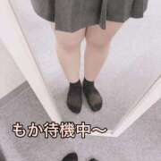 ヒメ日記 2026/04/30 16:39 投稿 もか 白いぽっちゃりさん五反田店
