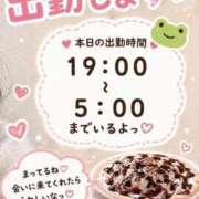 ヒメ日記 2026/05/01 07:19 投稿 もか 白いぽっちゃりさん五反田店