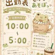 ヒメ日記 2026/05/08 23:49 投稿 もか 白いぽっちゃりさん五反田店