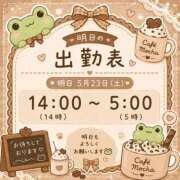 ヒメ日記 2026/05/23 05:09 投稿 もか 白いぽっちゃりさん五反田店