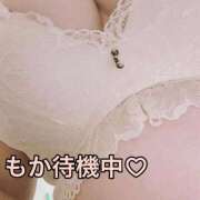 ヒメ日記 2026/05/23 15:29 投稿 もか 白いぽっちゃりさん五反田店