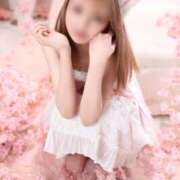 ヒメ日記 2026/04/07 13:53 投稿 こはく The White