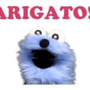 ヒメ日記 2026/04/12 11:31 投稿 こはく The White