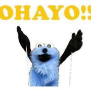 ヒメ日記 2026/04/19 09:17 投稿 こはく The White