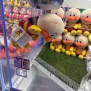 ヒメ日記 2026/09/14 21:39 投稿 こはく The White（ザ ホワイト）