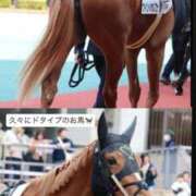 ヒメ日記 2026/04/03 20:32 投稿 みさき【揺れ踊るGカップ】 ポニーテール和歌山店