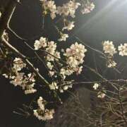 ヒメ日記 2026/03/30 22:45 投稿 月夜 BBW錦糸町店