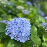 ヒメ日記 2026/06/08 14:30 投稿 月夜 BBW錦糸町店