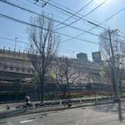 ヒメ日記 2026/03/28 17:07 投稿 月夜 BBW鶯谷店