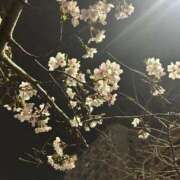 ヒメ日記 2026/03/30 23:15 投稿 月夜 BBW鶯谷店