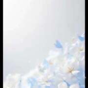 ヒメ日記 2026/04/12 10:12 投稿 いずみ モアグループ大宮人妻花壇