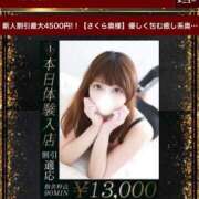 ヒメ日記 2026/03/04 15:42 投稿 さくら One More奥様　八王子店