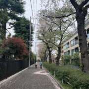 ヒメ日記 2026/04/06 12:06 投稿 まな ピュアスクール 池袋店