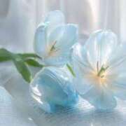 いずみ ありがとうございました?? モアグループ春日部人妻城