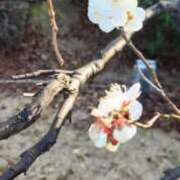 葉山ゆき 退勤 渋谷エオス