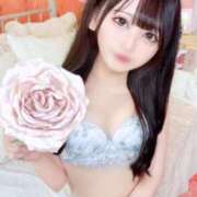 ヒメ日記 2026/03/03 17:22 投稿 くるみ【本当に恋しちゃうかも】 STELLA TOKYO－ステラトウキョウ－