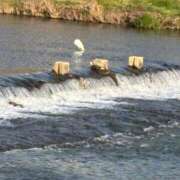 ヒメ日記 2026/03/21 05:36 投稿 ろみみ ばつぐん素人プロダクション