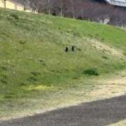 ヒメ日記 2026/03/24 14:14 投稿 ろみみ ばつぐん素人プロダクション