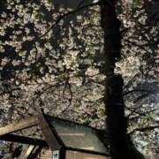 ヒメ日記 2026/04/02 15:21 投稿 ろみみ ばつぐん素人プロダクション